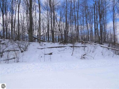 8314 Boca Vista Trail unit 2, Elmwood Charter Township, MI 49684 - photo 5