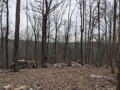 10688 Pine Hill Rd, Mc Donald, TN 37353 - photo 6