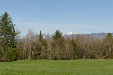 0 Small Farm unit 4665170, Morristown, VT 05661 - photo 5