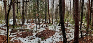 On Mishonagon Way, Lac Du Flambeau, WI 54538 - photo 6