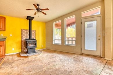 5413 County Rd, Florissant, CO 80816 - photo 3