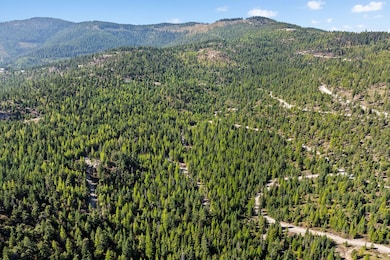 Private, tree-filled property with a maintained access road