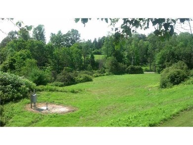 Yard/Garden.