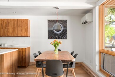 600 E Main St unit 205, Aspen, CO 81611 - photo 5