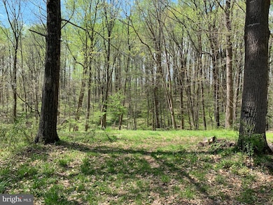 6420 Carters Run Rd, Marshall, VA 20115 - photo 4