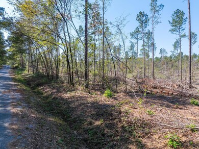 8.24 +/- Acres Noel Townsend Rd, Seminary, MS 39429 - photo 4