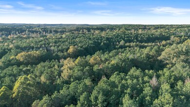 0 Highway 32, van Vleet, MS 38851 - photo 7