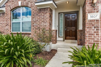 3807 Valencia Peak, San Antonio, TX 78261 - photo 3