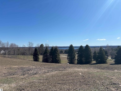 00 Palaestrum Rd, Whitewater Township, MI 49690 - photo 2