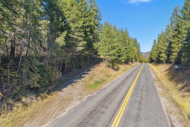 3841 Deep Lake Boundary Rd, Colville, WA 99114 - photo 5