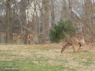 3744 Angelton Ct, Burtonsville, MD 20866 - photo 2
