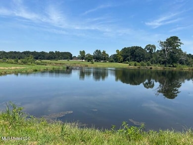 1570 Dupont Harts Chapel Rd, Poplarville, MS 39470 - photo 2