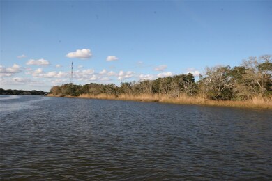 3745 Farm To Market 2611, Brazoria, TX 77422 - photo 2
