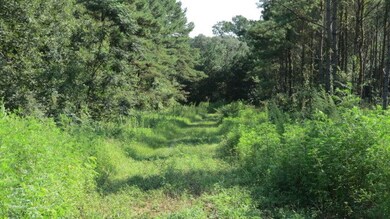 0 Concord Bainbridge Rd unit 259768, Havana, FL 32333 - photo 3