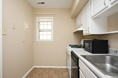 2422 Barracks Place unit 4, Charlottesville, VA 22901 - photo 6