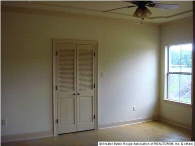 Accented Ceiling in Master Bedroom