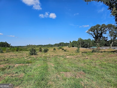 TRACT 4 Thornton Dr, Elberton, GA 30635 - photo 2