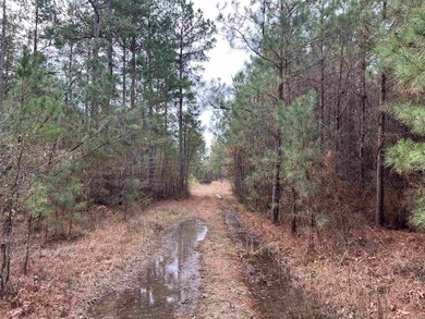 0 Kelly Ave E unit 24032577, Sparkman, AR 71763 - photo 6