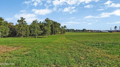 157 Triple j Trail, Jamestown, TN 38556 - photo 5