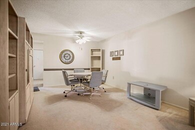 10531 W Wheatridge Dr, Sun City, AZ 85373 - photo 7