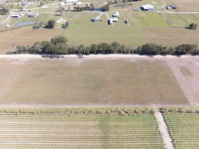 5040 Granny Rd, Maurice, LA 70555 - photo 4