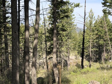 View Site