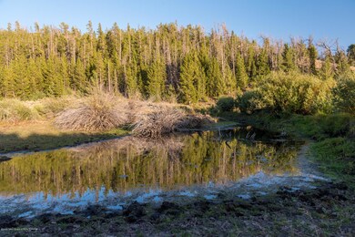 DSC_3276-HDR