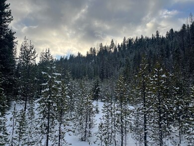 0 Olive Creek Rd unit 220175401, Granite, OR 97877 - photo 3