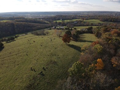 471 Morgan Hightower Rd, Pendletn Cnty, KY 41040 - photo 7