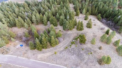 123 Southlake Crest, Polson, MT 59860 - photo 5