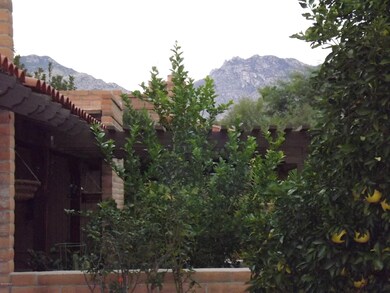 Peak of the mountains from the back yard