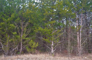 Lot 565 Toy Ln, Pottsboro, TX 75076 - photo 7