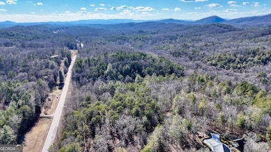 0 Murphy Hwy unit 10469213, Mineral Bluff, GA 30559 - photo 7