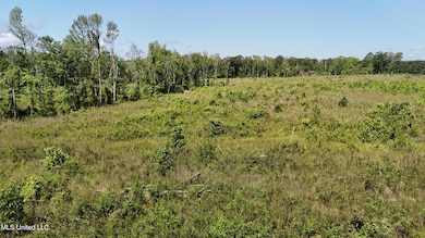 DJI_20240504104255_0051_D