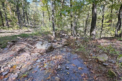 0 Arkansas 155, Dardanelle, AR 72834 - photo 4