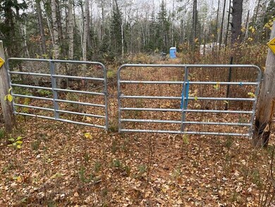 Lot 1 Spring Bridge Rd, Greenbush, ME 04418 - photo 5