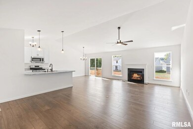 801 Williams Way, Carbon Cliff, IL 61239 - photo 6