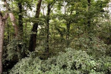 w W Base Rd, Arlington, IN 46104 - photo 5