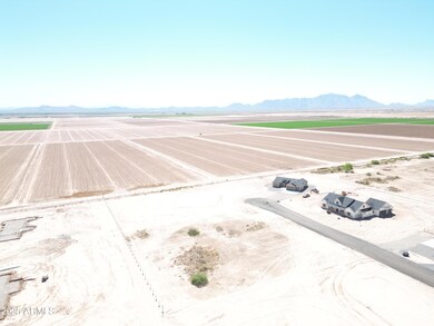 DJI_0881