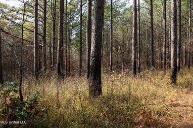 IMG_4634