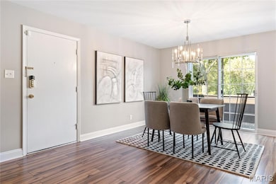 13515 Coliseum Dr unit E, Chesterfield, MO 63017 - photo 2