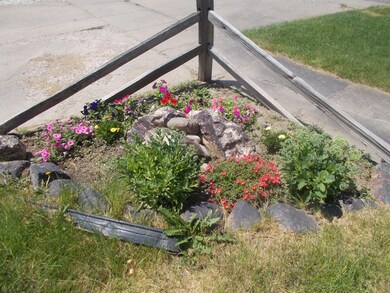 Flowers in front