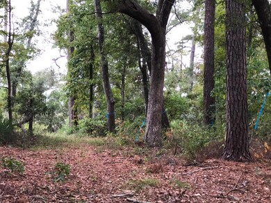 144 Bull Point Dr, Seabrook, SC 29940 - photo 5