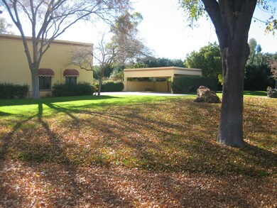 SIDE YARD