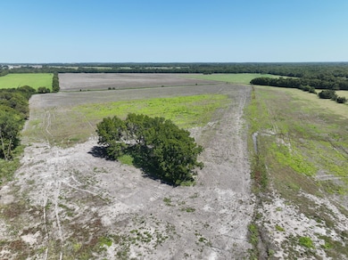 Tbd County Road 4525, Trenton, TX 75490 - photo 5