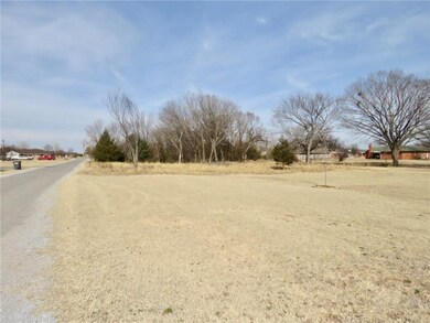 View of the property looking north.  The cedar tre