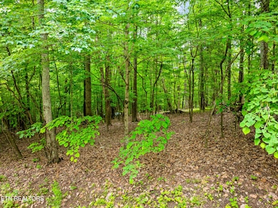 0 Running Deer Tr unit 1322139, Caryville, TN 37714 - photo 7