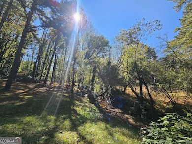 228 Honeysuckle Rd, Monticello, GA 31064 - photo 7