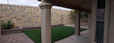back yard 2
