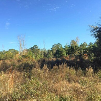 Lot 14 Martin Farms Rd, Crawfordville, FL 32327 - photo 5